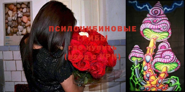 круглые Ладушкин