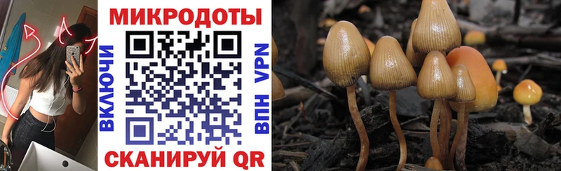 кракен вход  дарк нет телеграм  Галлюциногенные грибы прущие грибы  Гвардейск 